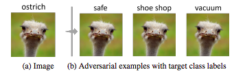 ostrich example